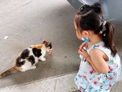 -麦德龙(郑东店)