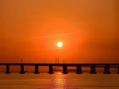 -宝安西湾红树林湿地公园