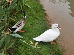 -深圳大学(丽湖校区)