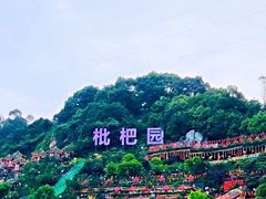 -枇杷园食为鲜火锅(南山店)
