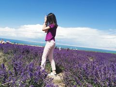 -青海湖国家重点风景名胜区