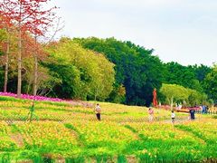 -海珠湖公园