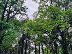 -Club Med地中海俱乐部·桂林度假村