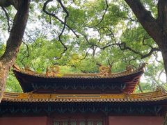 -普陀山风景名胜区-法雨禅寺