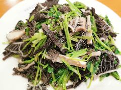 -大顺堂食府(牛街店)