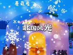 -长白山万达国际度假区