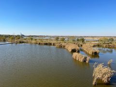 -盐城丹顶鹤湿地生态旅游区