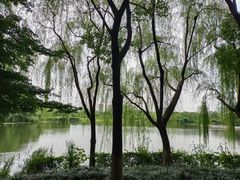 -杭州城北体育公园