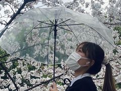 -西北湖绿化广场