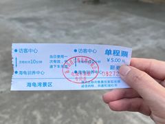 -广东惠东海龟国家级自然保护区