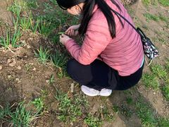 -前小桔亲子创意农场·草莓采摘·露营烧烤