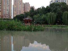 -温江公园