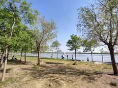 -天津东丽湖风景区