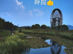 -苏州太湖湖滨国家湿地公园