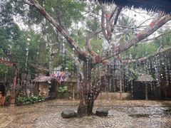 -海南槟榔谷黎苗文化旅游区