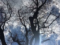 -丹山赤水风景名胜区