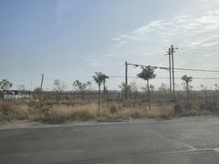 -黄沙古渡原生态旅游区