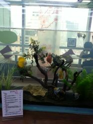 android_upload_pic-小左美发