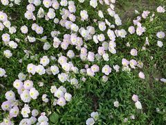 -河南省体育场馆中心游泳馆