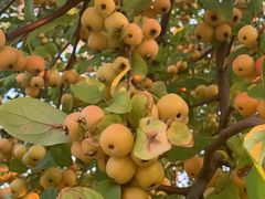 -北京园博大酒店