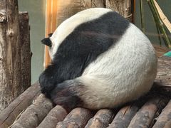 -青藏高原野生动物园