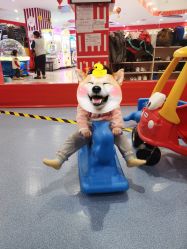 -都乐汇儿童乐园(莱蒙都会店)