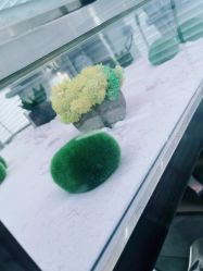 -木北造型