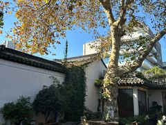 -鲤院·新中式美学·庭院餐厅(夫子庙店)
