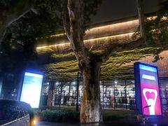 -中国美术学院-美术馆