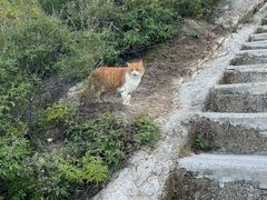 -北京凤凰岭