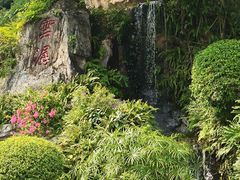 -广州市白云山风景名胜区