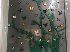 -房山世界地质公园博物馆