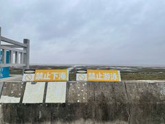 -南汇新城海滩
