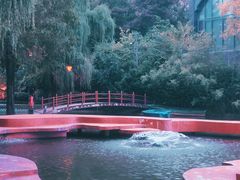 -西安曲江寒窑遗址公园