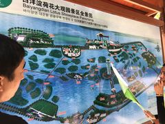 -白洋淀景区