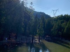 -广州市帽峰山景区
