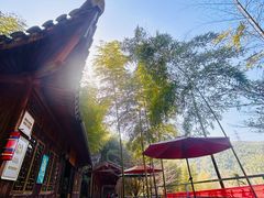 -宁波浙东大竹海景区