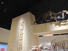 -国家自然博物馆