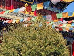 -西安市广仁寺