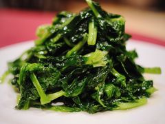 酒香豆苗-老吉士酒家(天平路店)