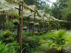 -北海金海湾红树林生态旅游区