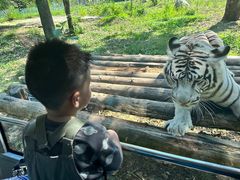 -西安秦岭野生动物园