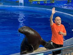 -多彩贵州城极地海洋世界