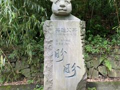-都江堰中华大熊猫苑