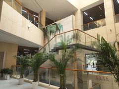 -广西壮族自治区博物馆