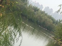 -艾溪湖湿地公园