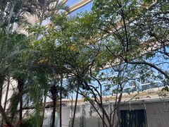 -科尔海悦酒店·柏顿花园餐厅(清河东路店)