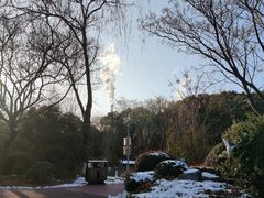-扬州市茱萸湾风景区