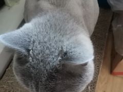 -中农大我爱我爱24h动物医院·中医针灸·猫专科·骨科医疗中心(双井店)