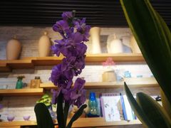 店内环境-今日陶艺(富力广场店)